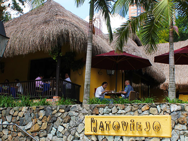hatoviejo-palmas.jpg
