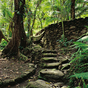 Ciudad perdida